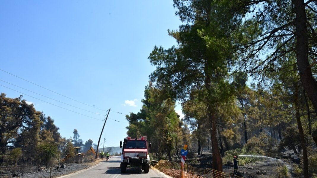 Τέσσερις συλλήψεις για εργασίες με φλόγιστρο, τροχό και χρήση ψησταριάς κοντά σε δασικές εκτάσεις Τέσσερις-συλλήψεις-για-εργασίες-με-φλόγιστρο,-τροχό-και-χρήση-ψησταριάς-κοντά-σε-δασικές-εκτάσεις