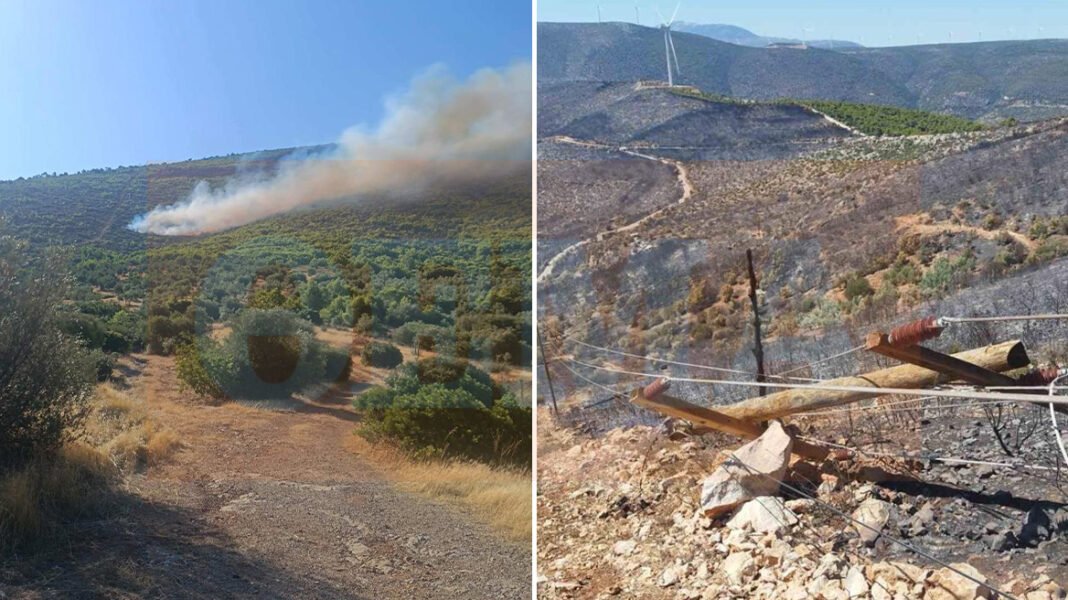 Πώς-ξεκίνησε-η-φωτιά-στη-Βοιωτία:-Τι-αποκάλυψε-η-αυτοψία-της-Πυροσβεστικής-«στο-σημείο-μηδέν»,-φωτογραφίες-ντοκουμέντο