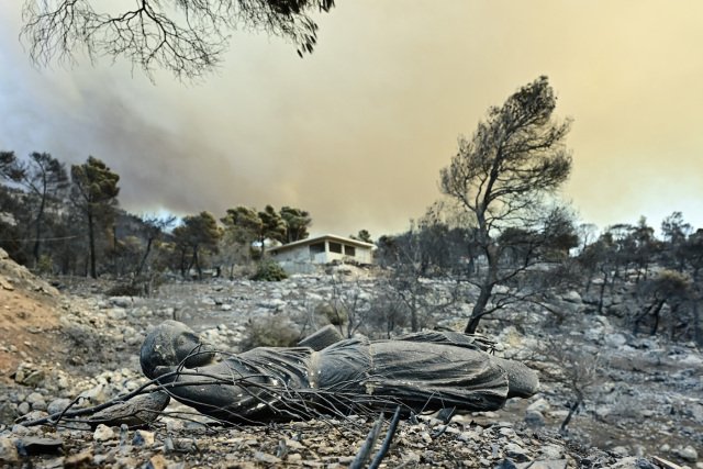 Φωτιά-στην-Αττικοβοιωτία:-Πάνω-από-61.500-στρέμματα-κάηκαν-τις-νυχτερινές-ώρες,-δείτε-χάρτες