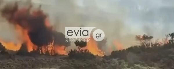 Σύλληψη-63χρονης-για-τη-μεγάλη-πυρκαγιά-στη-Σκύρο-–-Υπό-έλεγχο-το-πύρινο-μέτωπο