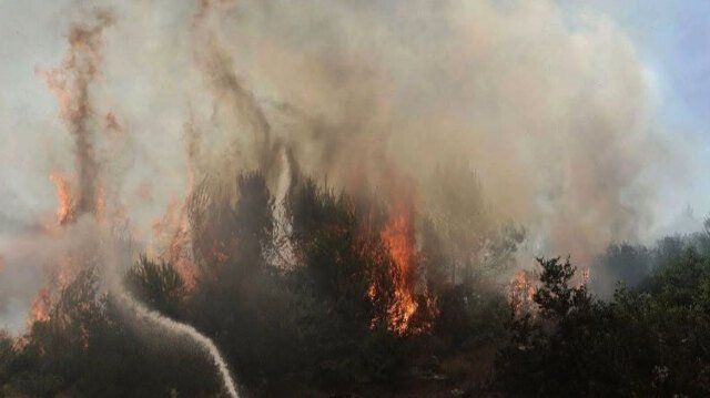 Φωτιά τώρα στο Στεφάνι Κορινθίας, 112 για ετοιμότητα, 7 εναέρια στη μάχη Φωτιά-τώρα-στο-Στεφάνι-Κορινθίας,-112-για-ετοιμότητα,-7-εναέρια-στη-μάχη
