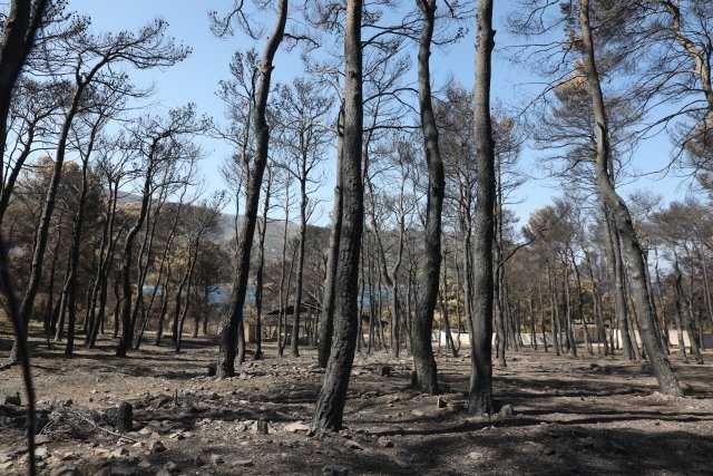 Χαρδαλιάς: Καμία ανεμογεννήτρια σε καμένες και αναδασωτέες περιοχές της Αττικής Χαρδαλιάς:-Καμία-ανεμογεννήτρια-σε-καμένες-και-αναδασωτέες-περιοχές-της-Αττικής