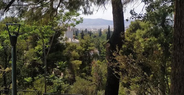 Κλείνει τα μεσάνυχτα ο λόφος Φινόπουλου στην Αθήνα λόγω αυξημένου κινδύνου εκδήλωσης πυρκαγιάς Κλείνει-τα-μεσάνυχτα-ο-λόφος-Φινόπουλου-στην-Αθήνα-λόγω-αυξημένου-κινδύνου-εκδήλωσης-πυρκαγιάς