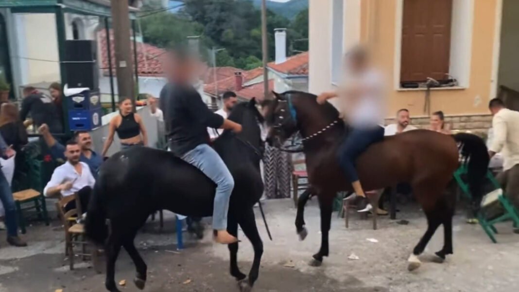 Άλογα χορεύουν πάνω σε σπασμένα μπουκάλια στη Λέσβο – A Promise to Animals: «Όταν η κριτική σε ένα έθιμο θεωρείται επίθεση σε έναν τόπο» Άλογα-χορεύουν-πάνω-σε-σπασμένα-μπουκάλια-στη-Λέσβο-–-a-promise-to-animals:-«Όταν-η-κριτική-σε-ένα-έθιμο-θεωρείται-επίθεση-σε-έναν-τόπο»