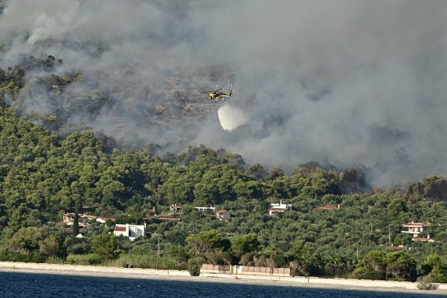 Τουρνάς:-Πάνω-από-400-φωτιές-σε-10-ημέρες,-από-αμέλεια-το-90%-των-περιστατικών