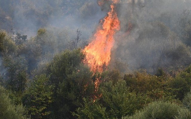 Αλβανία: Μεγάλη φωτιά κοντά στα Τίρανα – Ολονύχτια μάχη με τις φλόγες, εκκενώθηκαν χωριά Αλβανία:-Μεγάλη-φωτιά-κοντά-στα-Τίρανα-–-Ολονύχτια-μάχη-με-τις-φλόγες,-εκκενώθηκαν-χωριά