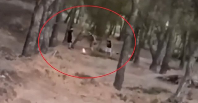 Βίντεο: Ανήλικοι έβαλαν φωτιά στο δάσος Άνω Βριλησσίων και την έσβησαν, τους αναζητά η Πυροσβεστική Βίντεο:-Ανήλικοι-έβαλαν-φωτιά-στο-δάσος-Άνω-Βριλησσίων-και-την-έσβησαν,-τους-αναζητά-η-Πυροσβεστική