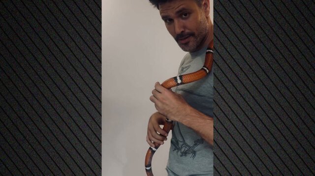 Ο Μιχάλης Λεβεντογιάννης πόζαρε με ένα φίδι τυλιγμένο στο σώμα του Ο-Μιχάλης-Λεβεντογιάννης-πόζαρε-με-ένα-φίδι-τυλιγμένο-στο-σώμα-του