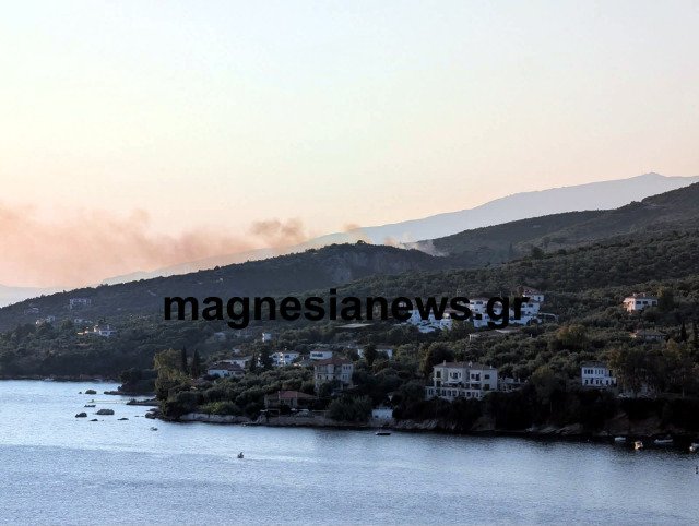 Οριοθετήθηκε η φωτιά στην παραλία Πάου Νοτίου Πηλίου Οριοθετήθηκε-η-φωτιά-στην-παραλία-Πάου-Νοτίου-Πηλίου