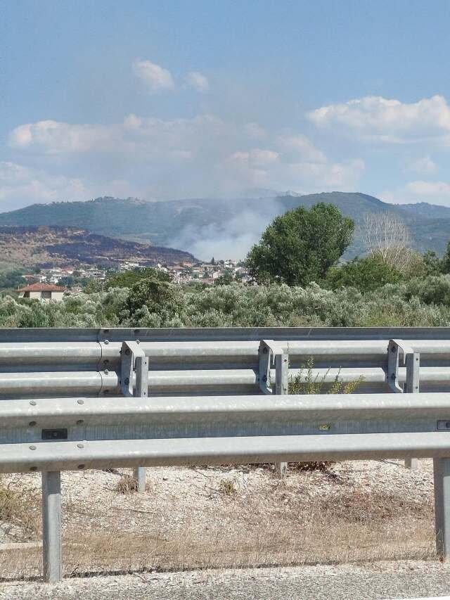 Οριοθετήθηκε-η-φωτιά-σε-δάσος-στο-Κομπότι-Άρτας