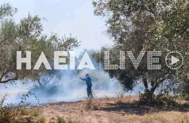 Οριοθετήθηκε η φωτιά στο Χάβαρι Ηλείας Οριοθετήθηκε-η-φωτιά-στο-Χάβαρι-Ηλείας