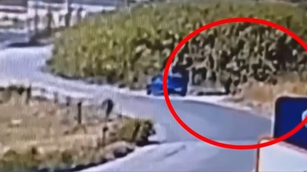 Κακουργηματική δίωξη στον 59χρονο για έξι φωτιές στη Σίνδο: «Τις έβαζα για να ξεδίνω από τη δουλειά» Κακουργηματική-δίωξη-στον-59χρονο-για-έξι-φωτιές-στη-Σίνδο:-«Τις-έβαζα-για-να-ξεδίνω-από-τη-δουλειά»