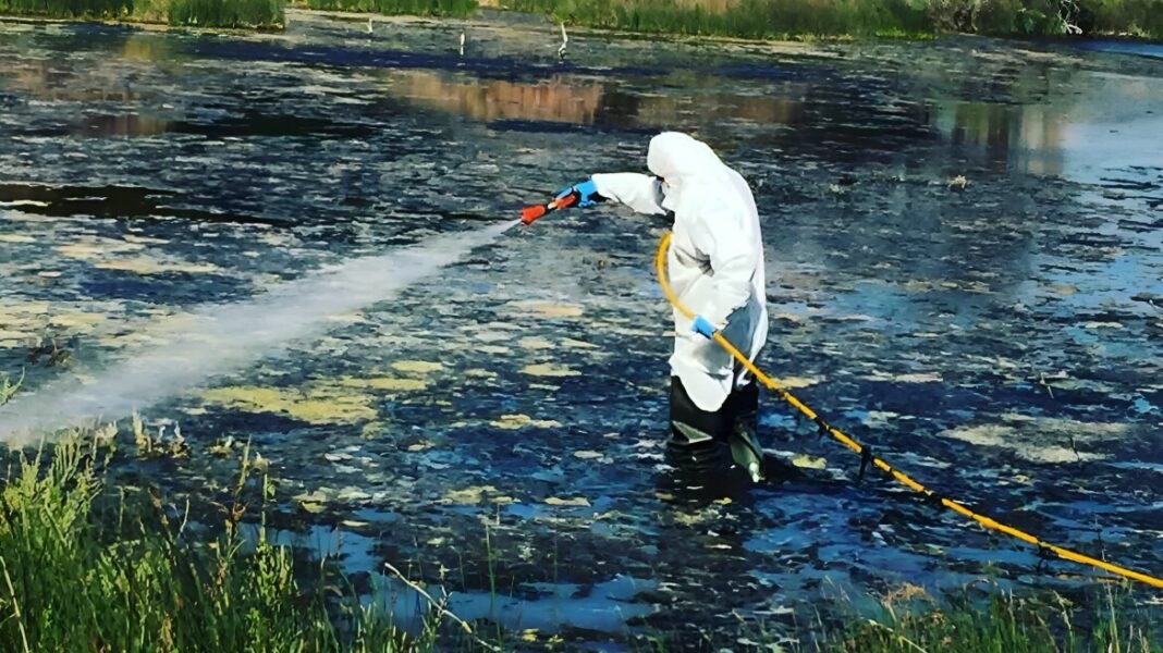 Αυξημένοι κατά 30% οι ψεκασμοί από την Περιφέρεια για τα κουνούπια στην Αττική Αυξημένοι-κατά-30%-οι-ψεκασμοί-από-την-Περιφέρεια-για-τα-κουνούπια-στην-Αττική