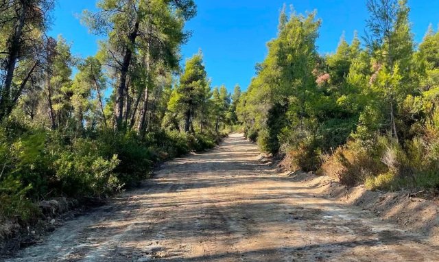 Σκέρτσος:-Το-πρόγραμμα-antinero-συνέβαλε-στον-περιορισμό-της-καταστροφής-από-τη-φωτιά-στη-Σίβηρη
