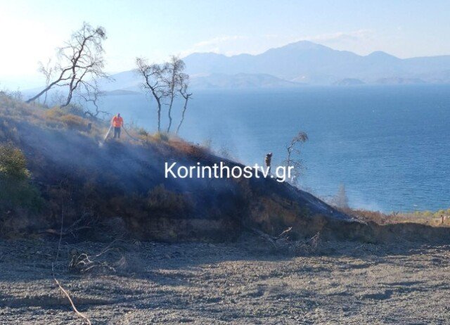 Χωρίς ενεργό μέτωπο η φωτιά στις Βαμβακές Κορινθίας Χωρίς-ενεργό-μέτωπο-η-φωτιά-στις-Βαμβακές-Κορινθίας