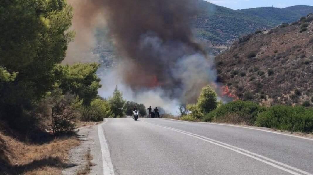 Δήμαρχος Σαλαμίνας για τις φωτιές: Απειλούνται σπίτια, έχουμε ζητήσει φέρι μποτ σε περίπτωση που δυσκολεύουν πολύ τα πράγματα Δήμαρχος-Σαλαμίνας-για-τις-φωτιές:-Απειλούνται-σπίτια,-έχουμε-ζητήσει-φέρι-μποτ-σε-περίπτωση-που-δυσκολεύουν-πολύ-τα-πράγματα