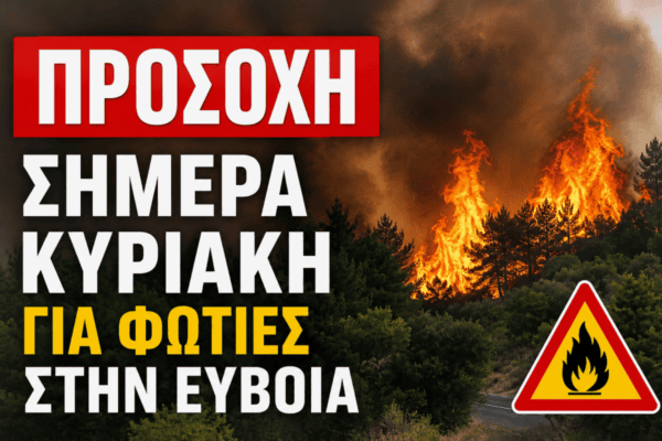 Εύβοια σε «κόκκινο συναγερμό» για πυρκαγιές: Κλειστά δάση και άλση – Σε ποιες περιοχές ισχύει η απαγόρευση Εύβοια-σε-«κόκκινο-συναγερμό»-για-πυρκαγιές:-Κλειστά-δάση-και-άλση-–-Σε-ποιες-περιοχές-ισχύει-η-απαγόρευση