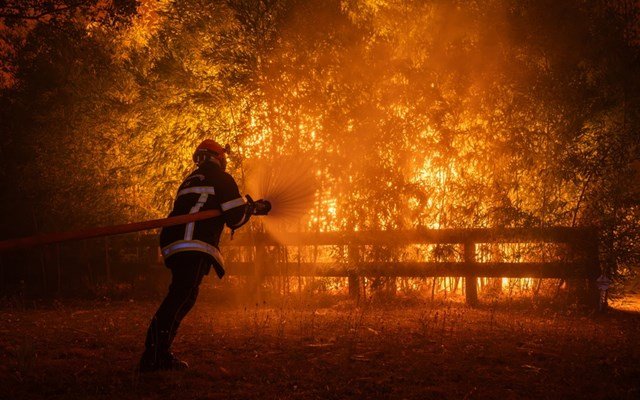 Βέλγιο:-Συνεχίζονται-οι-προσπάθειες-να-αντιμετωπιστεί-η-μεγαλύτερη-στην-ιστορία-της-χώρας-δασική-πυρκαγιά