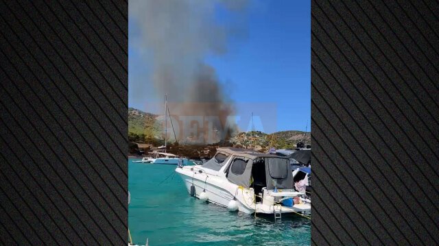Δείτε βίντεο: Από αυτό το σημείο ξεκίνησε η φωτιά στα Περιστέρια Σαλαμίνας Δείτε-βίντεο:-Από-αυτό-το-σημείο-ξεκίνησε-η-φωτιά-στα-Περιστέρια-Σαλαμίνας