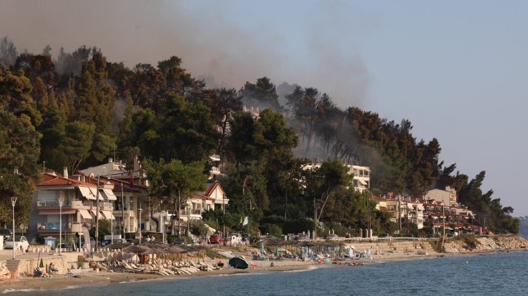Χαλκιδική: Ξεκίνησαν οι αιτήσεις κρατικής αρωγής για τις επιχειρήσεις που επλήγησαν από την πυρκαγιά στη Σίβηρη Χαλκιδική:-Ξεκίνησαν-οι-αιτήσεις-κρατικής-αρωγής-για-τις-επιχειρήσεις-που-επλήγησαν-από-την-πυρκαγιά-στη-Σίβηρη