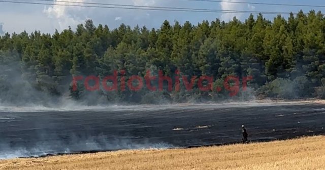 Καλύτερη η εικόνα της πυρκαγιάς στη Θήβα, δείτε βίντεο Καλύτερη-η-εικόνα-της-πυρκαγιάς-στη-Θήβα,-δείτε-βίντεο