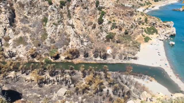 Πρέβελη: Πότε θα αναγεννηθεί το «πληγωμένο» από τις φωτιές φοινικόδασος, δείτε βίντεο Πρέβελη:-Πότε-θα-αναγεννηθεί-το-«πληγωμένο»-από-τις-φωτιές-φοινικόδασος,-δείτε-βίντεο
