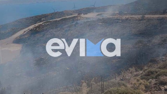 Φωτιά τώρα στην Κάρυστο Ευβοίας, σηκώθηκαν 2 εναέρια μέσα Φωτιά-τώρα-στην-Κάρυστο-Ευβοίας,-σηκώθηκαν-2-εναέρια-μέσα