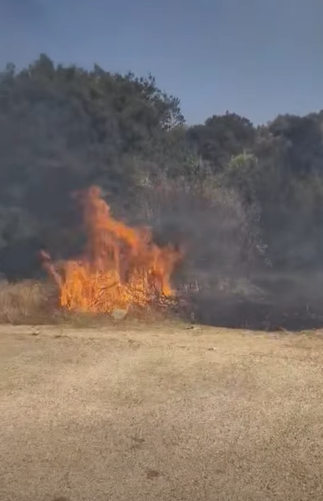 Φωτιά τώρα στο Γενέσι Τρικάλων, σηκώθηκαν δύο αεροσκάφη, δείτε βίντεο Φωτιά-τώρα-στο-Γενέσι-Τρικάλων,-σηκώθηκαν-δύο-αεροσκάφη,-δείτε-βίντεο