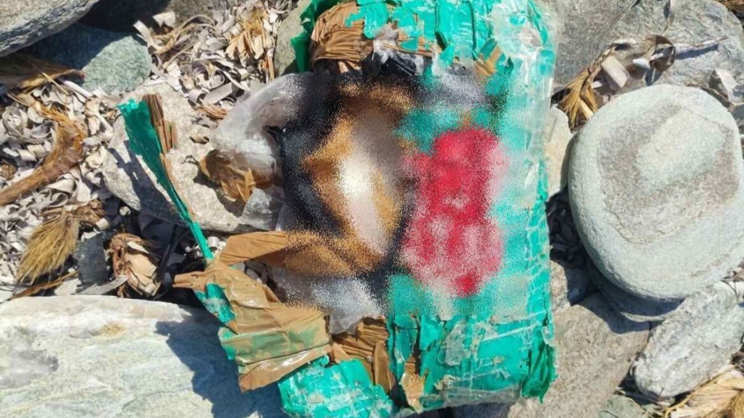 Σε βράχια και θάλασσα ψάχνουν για ναρκωτικά στην Άνδρο, κατασχέθηκαν 2,3 κιλά πιθανής κοκαΐνης Σε-βράχια-και-θάλασσα-ψάχνουν-για-ναρκωτικά-στην-Άνδρο,-κατασχέθηκαν-2,3-κιλά-πιθανής-κοκαΐνης