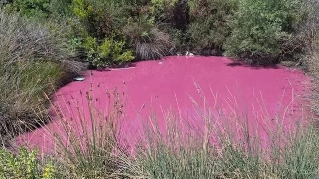 Σπάνιο φαινόμενο στην Ηγουμενίτσα: Λίμνη «βάφτηκε» ροζ Σπάνιο-φαινόμενο-στην-Ηγουμενίτσα:-Λίμνη-«βάφτηκε»-ροζ