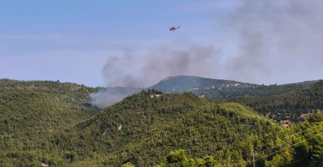 Φωτιά τώρα στο Μαρκόπουλο Ωρωπού: 112 για ετοιμότητα, ενισχύθηκαν οι δυνάμεις της Πυροσβεστικής, δείτε βίντεο Φωτιά-τώρα-στο-Μαρκόπουλο-Ωρωπού:-112-για-ετοιμότητα,-ενισχύθηκαν-οι-δυνάμεις-της-Πυροσβεστικής,-δείτε-βίντεο