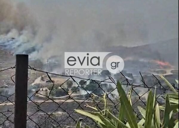 Πυρκαγιά τώρα στην Κάρυστο – Επιχειρούν 4 αεροσκάφη και 2 ελικόπτερα, μήνυμα από το 112 Πυρκαγιά-τώρα-στην-Κάρυστο-–-Επιχειρούν-4-αεροσκάφη-και-2-ελικόπτερα,-μήνυμα-από-το-112