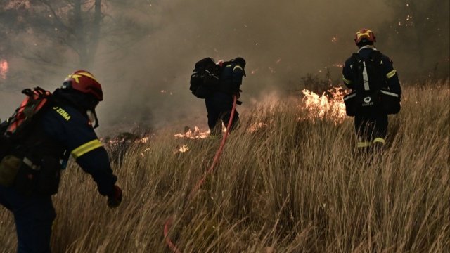 Από-εργασίες-καθαρισμού-σε-φωτοβολταϊκό-πάρκο-η-φωτιά-στον-Μύτικα-Θήβας-που-έκαψε-πάνω-3.000-στρέμματα,-δύο-συλλήψεις