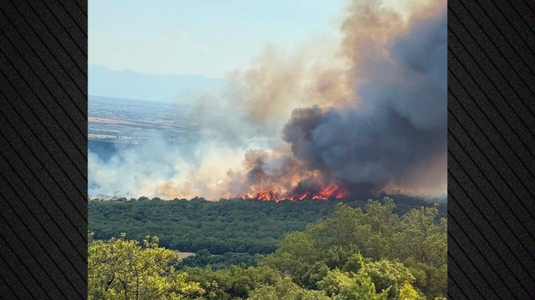 Φωτιά στο Πετροχώρι Ξάνθης: Ενισχύθηκαν οι δυνάμεις της Πυροσβεστικής, επιχειρούν 9 εναέρια, δείτε βίντεο Φωτιά-στο-Πετροχώρι-Ξάνθης:-Ενισχύθηκαν-οι-δυνάμεις-της-Πυροσβεστικής,-επιχειρούν-9-εναέρια,-δείτε-βίντεο