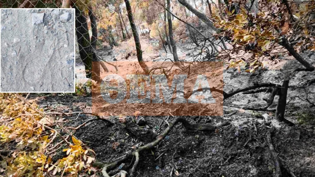 Φωτιά στη Σκύρο: Οι πατημασιές και τα μπουκάλια από αλκοόλ «οδήγησαν» τον 50χρονο που προσήχθη, εξετάζονται κτηνοτροφικές διαφορές Φωτιά-στη-Σκύρο:-Οι-πατημασιές-και-τα-μπουκάλια-από-αλκοόλ-«οδήγησαν»-τον-50χρονο-που-προσήχθη,-εξετάζονται-κτηνοτροφικές-διαφορές