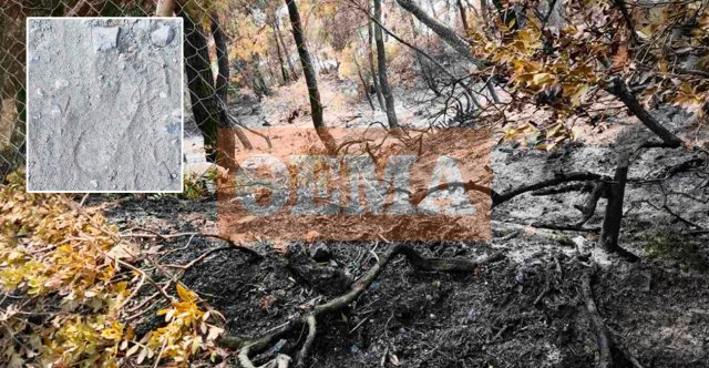 Ένταλμα σύλληψης για τον 50χρονο για τις δύο πυρκαγιές σε Κλούθρο και Χάρτσα στην Σκύρο Ένταλμα-σύλληψης-για-τον-50χρονο-για-τις-δύο-πυρκαγιές-σε-Κλούθρο-και-Χάρτσα-στην-Σκύρο
