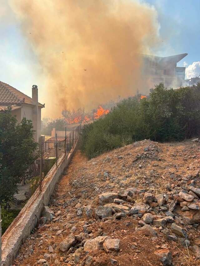 Συνελήφθη 38χρονη για την πυρκαγιά στη Σαρωνίδα, ξεκίνησε από ανάφλεξη αυτοκινήτου Συνελήφθη-38χρονη-για-την-πυρκαγιά-στη-Σαρωνίδα,-ξεκίνησε-από-ανάφλεξη-αυτοκινήτου