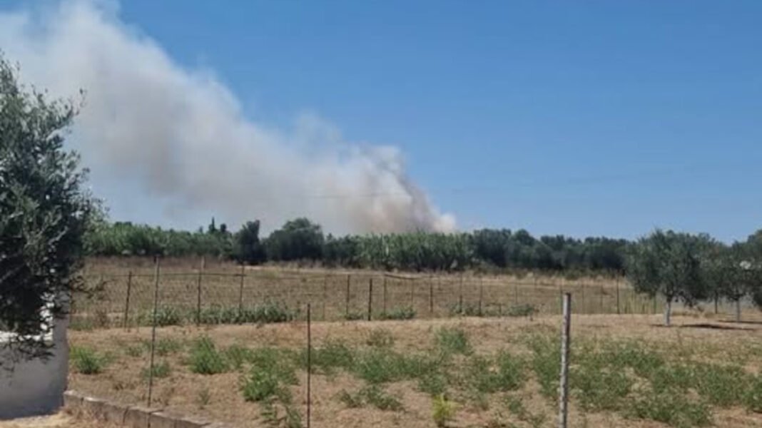 Οριοθετήθηκε η φωτιά στο Βαρθολομιό Ηλείας Οριοθετήθηκε-η-φωτιά-στο-Βαρθολομιό-Ηλείας