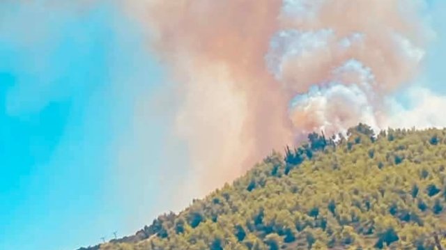 Φωτιά-σε-δασική-έκταση-στην-Τανάγρα-μετά-την-πτώση-του-phantom-στο-athens-flying-week,-ήχησε-το-112