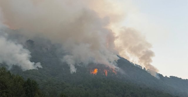 Μαίνεται η μεγάλη φωτιά στην περιοχή της Τραπεζίτσας στην Κόνιτσα: Πάνω από 150 πυροσβέστες και 12 ενάερια μέσα στη μάχη με τις φλόγες Μαίνεται-η-μεγάλη-φωτιά-στην-περιοχή-της-Τραπεζίτσας-στην-Κόνιτσα:-Πάνω-από-150-πυροσβέστες-και-12-ενάερια-μέσα-στη-μάχη-με-τις-φλόγες
