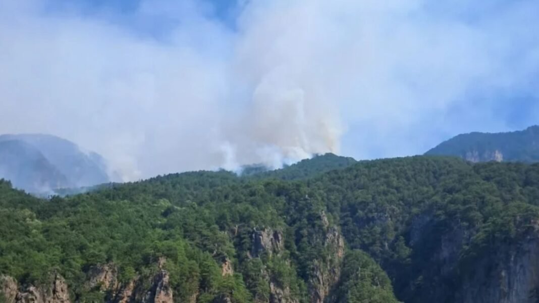 Τιτάνια μάχη στην Κόνιτσα να σβήσει η πυρκαγιά που καίει για όγδοη ημέρα σε δύο μεγάλα μέτωπα Τιτάνια-μάχη-στην-Κόνιτσα-να-σβήσει-η-πυρκαγιά-που-καίει-για-όγδοη-ημέρα-σε-δύο-μεγάλα-μέτωπα