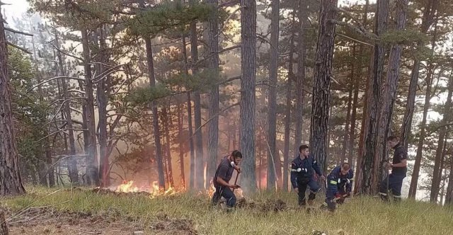 Η μάχη των δασοκομάντος με τις φλόγες στην Κόνιτσα, καλύτερη η εικόνα της πυρκαγιάς, δείτε βίντεο και φωτογραφίες Η-μάχη-των-δασοκομάντος-με-τις-φλόγες-στην-Κόνιτσα,-καλύτερη-η-εικόνα-της-πυρκαγιάς,-δείτε-βίντεο-και-φωτογραφίες