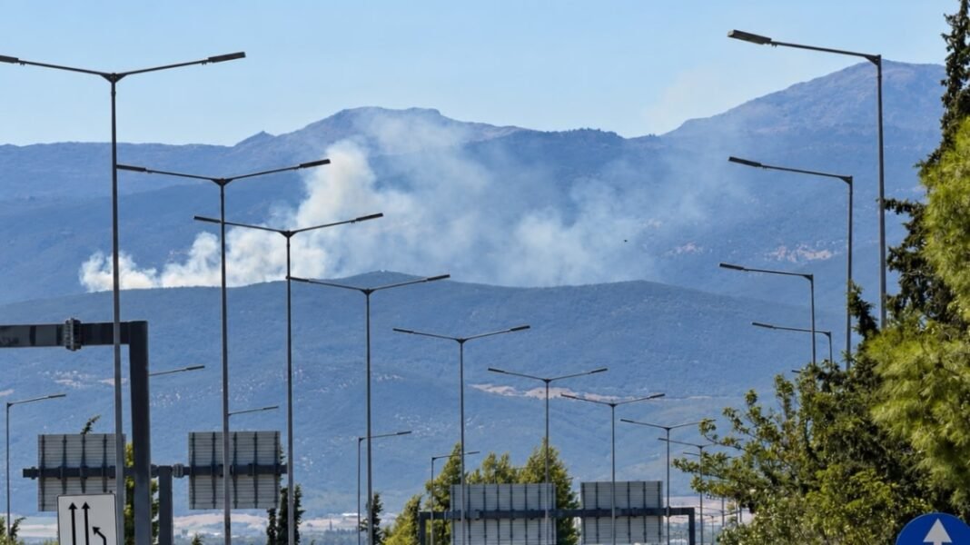 Φωτιά σε δασική έκταση στη Μαγνησία, επιχειρούν τέσσερα εναέρια μέσα Φωτιά-σε-δασική-έκταση-στη-Μαγνησία,-επιχειρούν-τέσσερα-εναέρια-μέσα