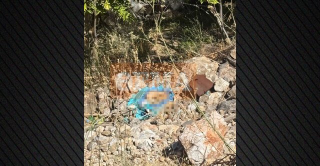 Ένα-άστοχο-σουτ-αποκάλυψε-τα-ανθρώπινα-οστά-στην-Κυψέλη,-τι-λέει-ο-άνθρωπος-που-τα-εντόπισε