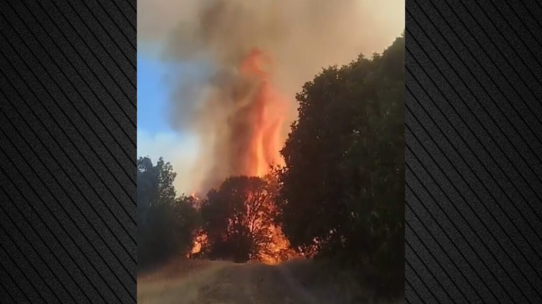 Φωτιά στο Αγιοφύλλο Τρικάλων: 112 για ετοιμότητα, επιχειρεί και ελικόπτερο, δείτε βίντεο Φωτιά-στο-Αγιοφύλλο-Τρικάλων:-112-για-ετοιμότητα,-επιχειρεί-και-ελικόπτερο,-δείτε-βίντεο
