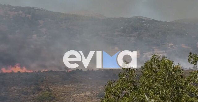 Φωτιά σε δασική έκταση στην Εύβοια, ήχησε 112 για ετοιμότητα Φωτιά-σε-δασική-έκταση-στην-Εύβοια,-ήχησε-112-για-ετοιμότητα