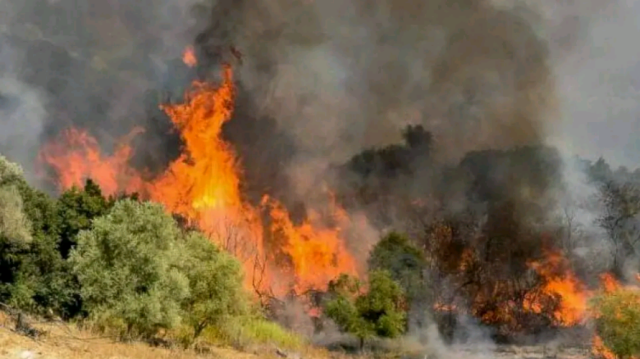 Υψηλός κίνδυνος πυρκαγιάς σήμερα σε Αττική και άλλες περιοχές της χώρας Υψηλός-κίνδυνος-πυρκαγιάς-σήμερα-σε-Αττική-και-άλλες-περιοχές-της-χώρας