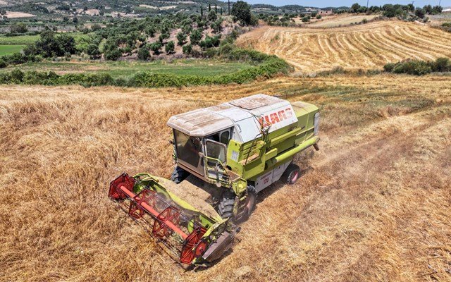 Σημαντική μείωση 8,4% των τιμών εκροών – εισροών σε γεωργία, κτηνοτροφία τον Ιούλιο Σημαντική-μείωση-8,4%-των-τιμών-εκροών-–-εισροών-σε-γεωργία,-κτηνοτροφία-τον-Ιούλιο
