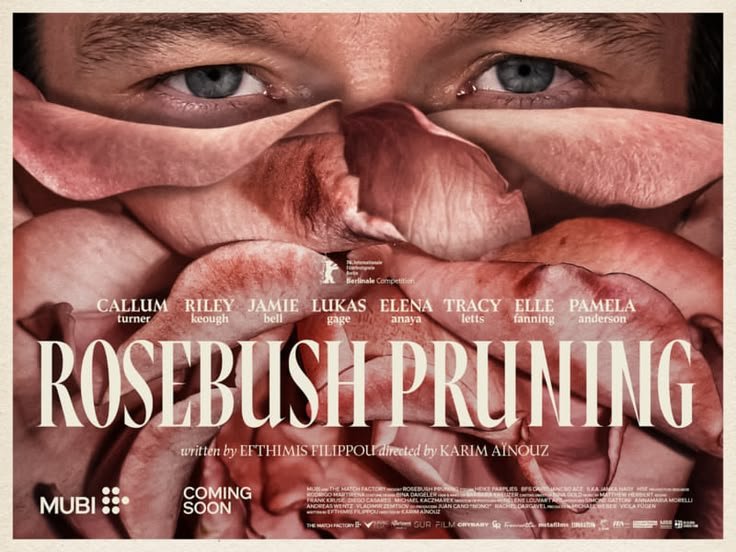 Το Κλάδεμα της Τριανταφυλλιάς (Rosebush Pruning) Το-Κλάδεμα-της-Τριανταφυλλιάς-(rosebush-pruning)