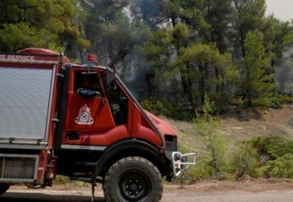 Μεγάλη πυρκαγιά στην Εύβοια: Καίγεται δασική έκταση Μεγάλη-πυρκαγιά-στην-Εύβοια:-Καίγεται-δασική-έκταση